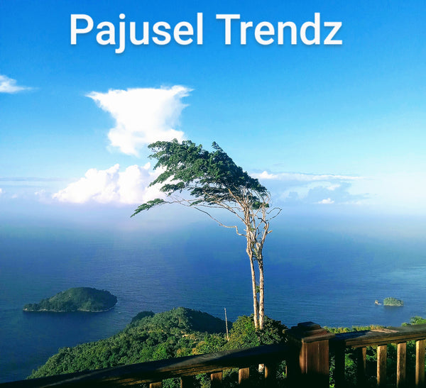 Pajusel Trendz